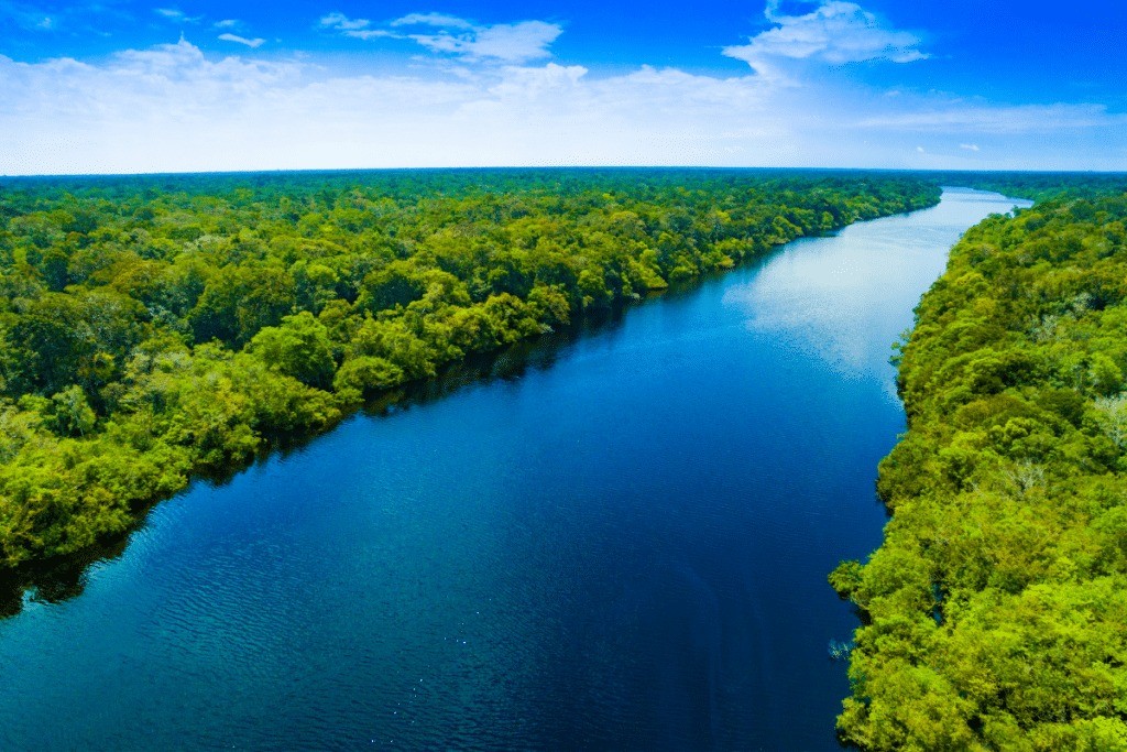 Evento on-line debate sobre inclusão e diversidade na Amazônia