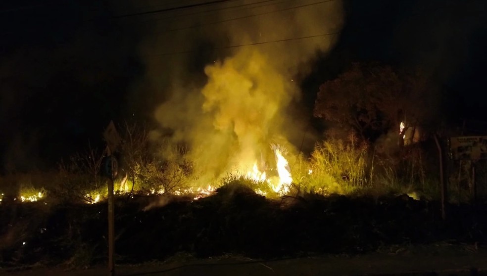 Incêndio destruiu parte da área de vegetação, em Presidente Prudente (SP) — Foto: Rildo Silva/TV Fronteira