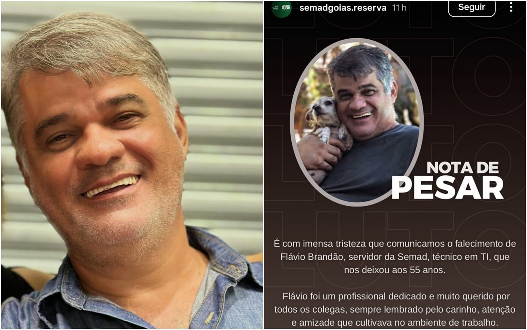 Servidor público morre após ser atacado por abelhas em praça de Goiânia