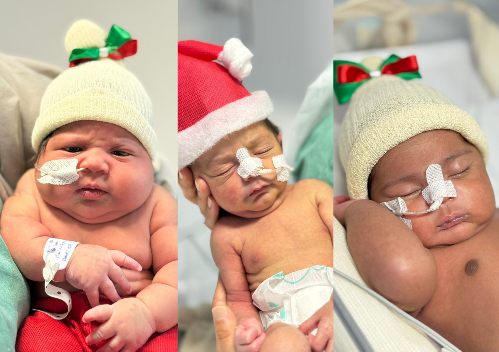 Recém-nascidos internados em maternidade na Bahia participam de ensaio fotográfico de Natal e 'explodem fofurômetro'; veja fotos