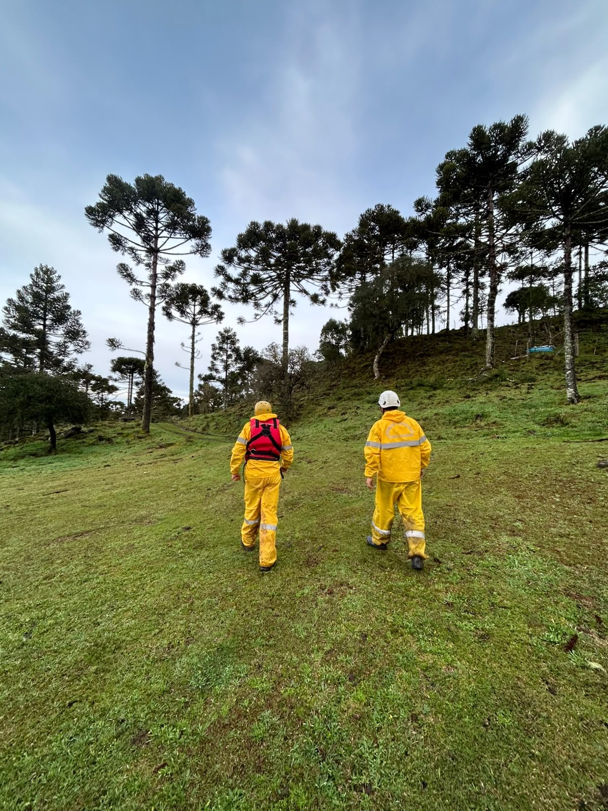 Destroços de hrlicóptero com cantor Rick são encontrados; não há sobreviventes
