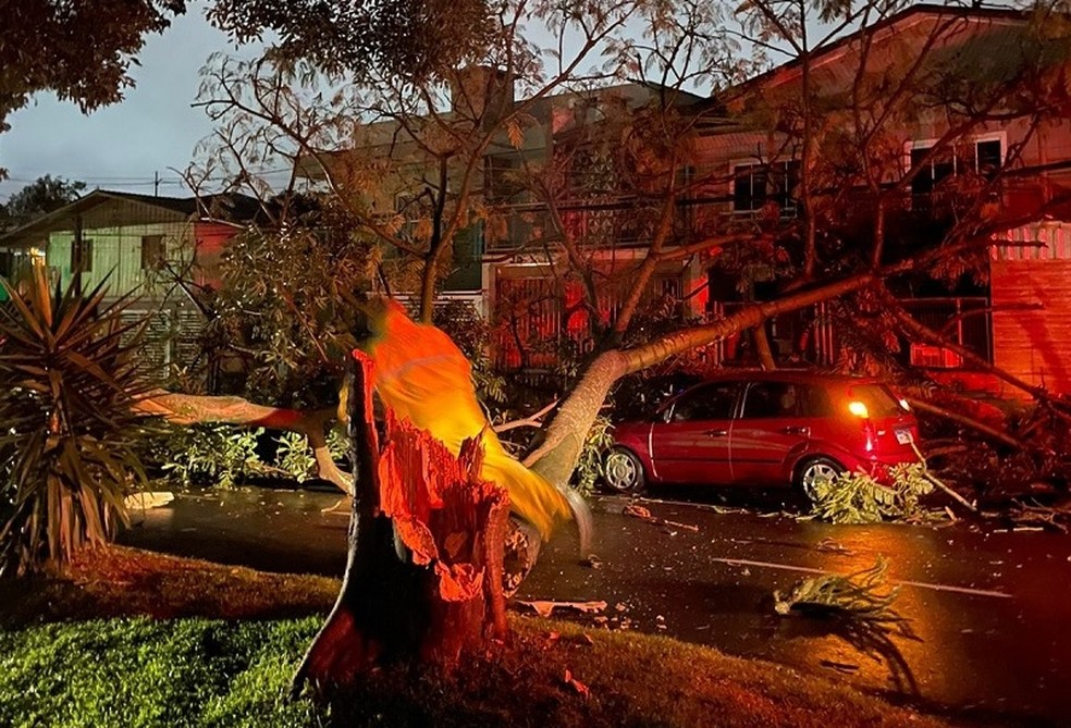 Queda de árvore atinge carro e casa em Chapecó, no Oeste de Santa Catarina, durante a madrugada de quinta-feira (14) — Foto: Defesa Civil/Divulgação