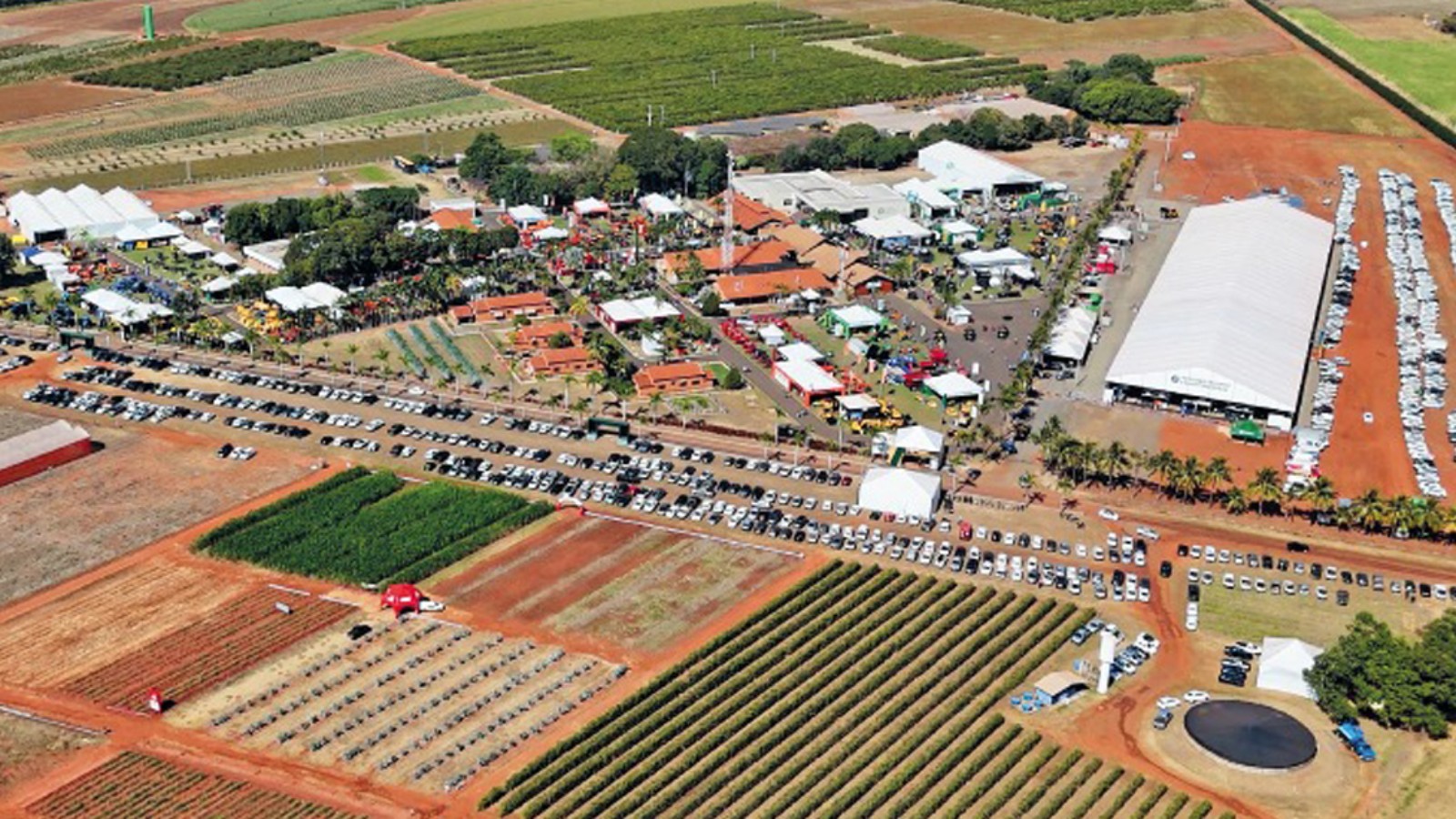 Coopercitrus Expo 2026: 50 anos com tecnologia, planejamento de safra e soluções