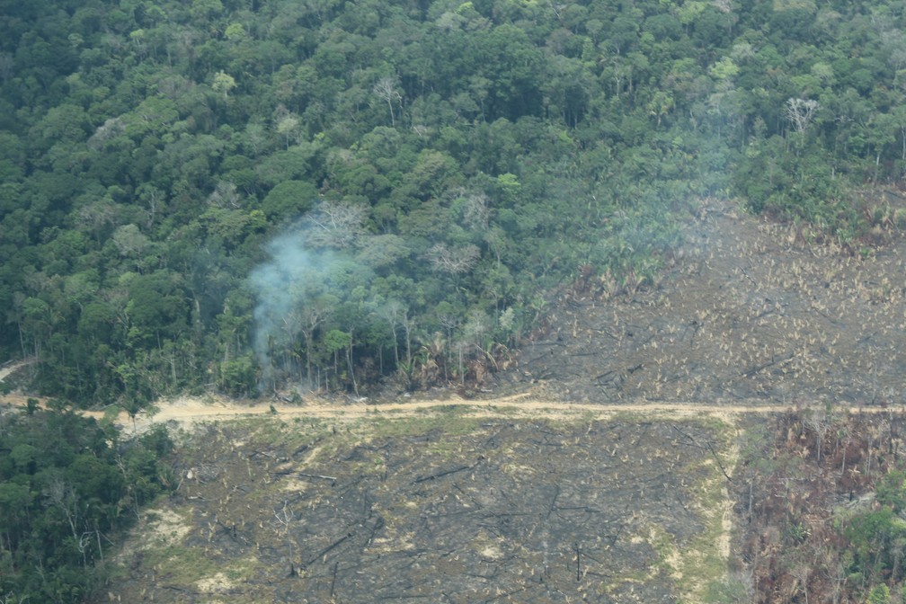 Sul do as: nova fronteira de queimadas e desmatamento