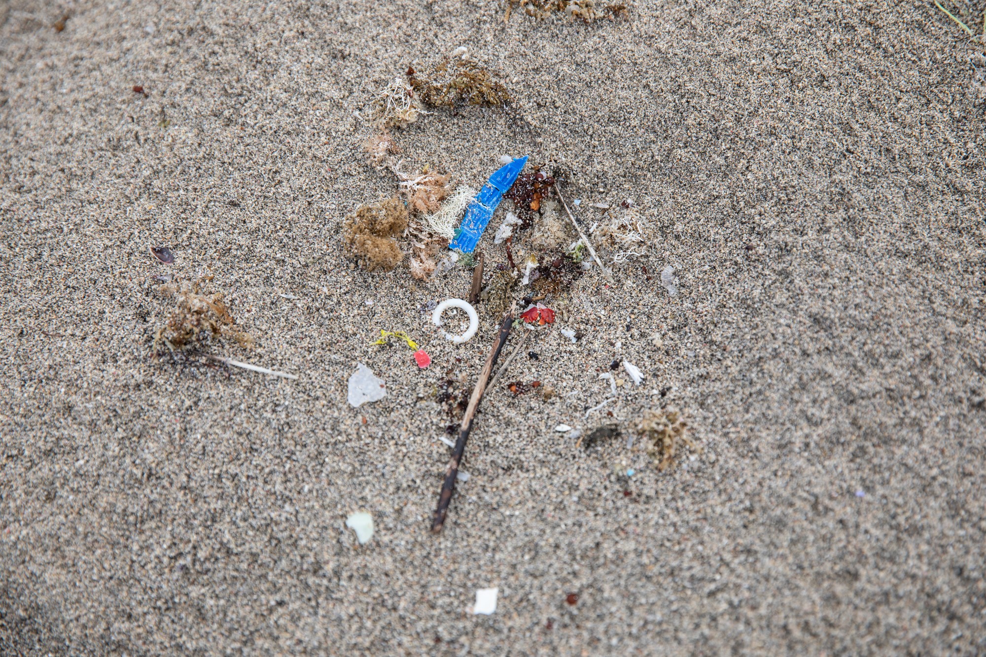 Reciclagem não será solução para crise global gerada pelo lixo plástico, aponta estudo