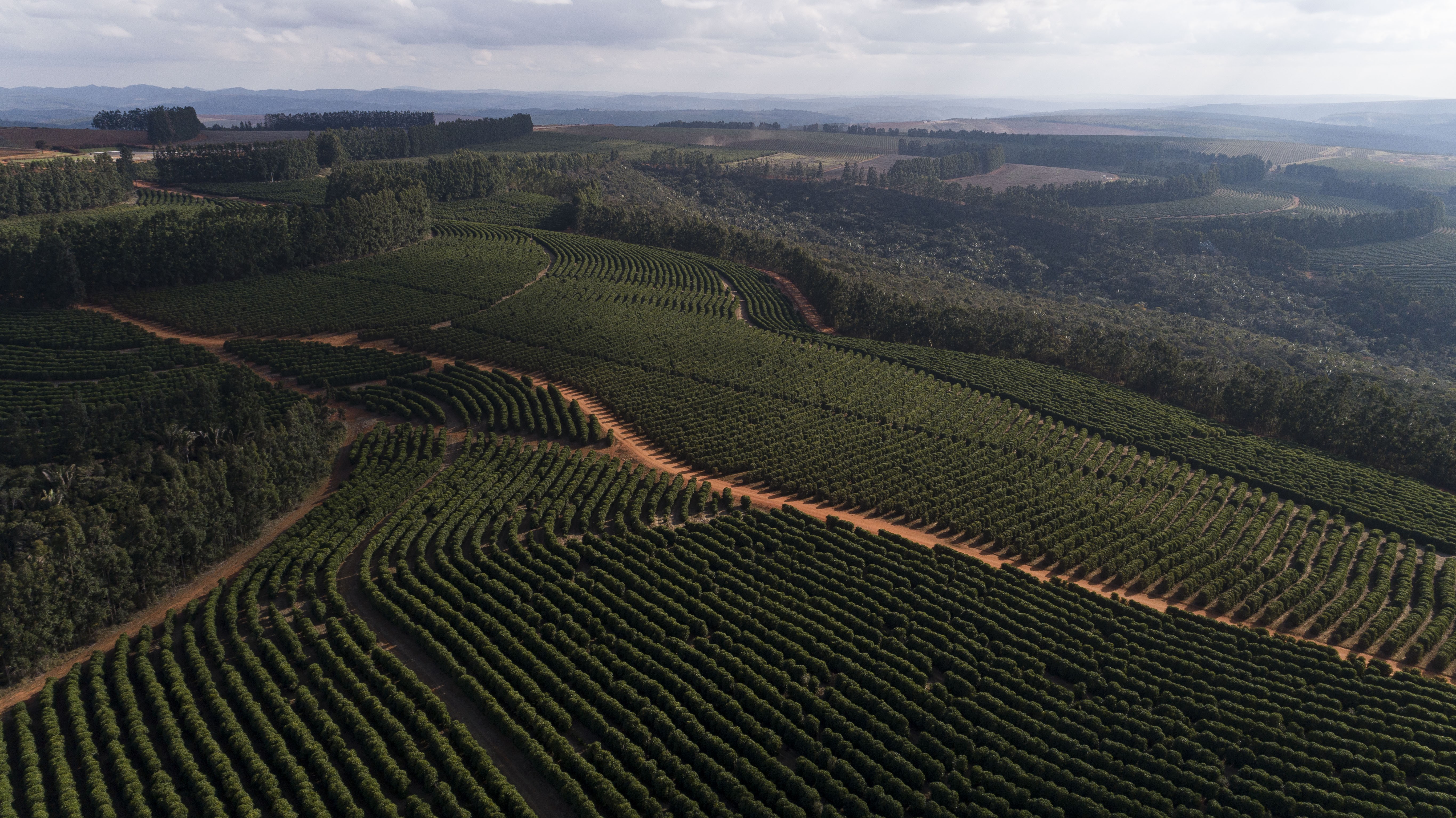 Cafés da Chapada de Minas conquistam selo de Indicação Geográfica 