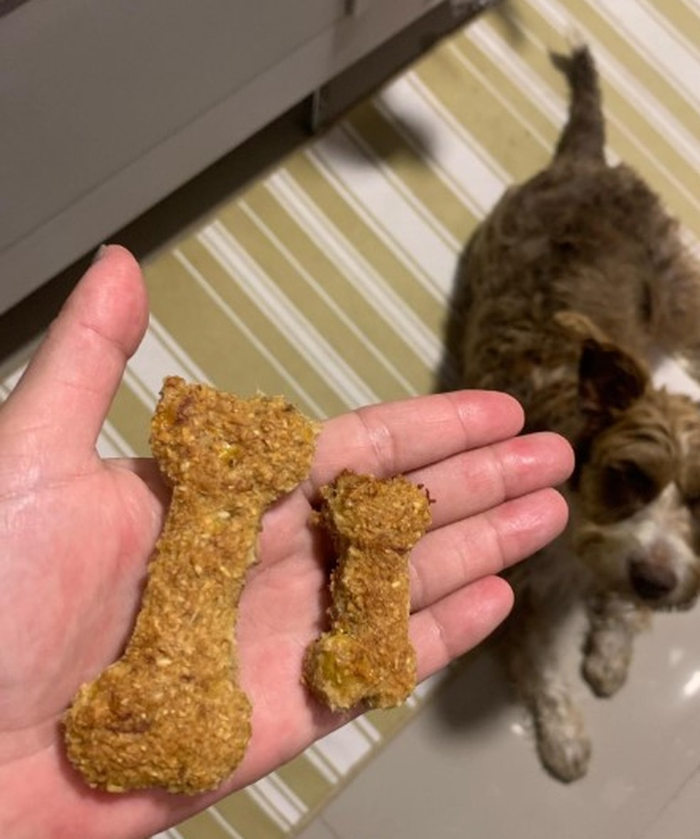 Luciane faz petiscos para pets de diferentes sabores — Foto: Redes sociais/ Reprodução