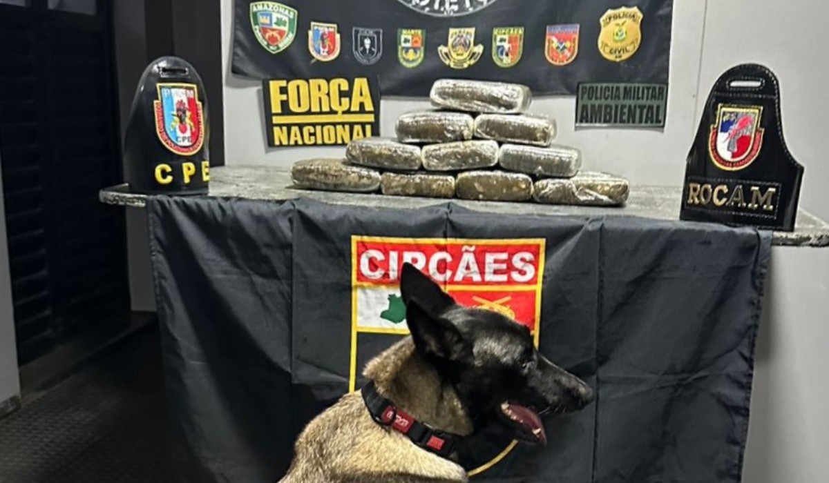 Cão policial encontra 12 kg de droga em embarcação durante fiscalização em Coari