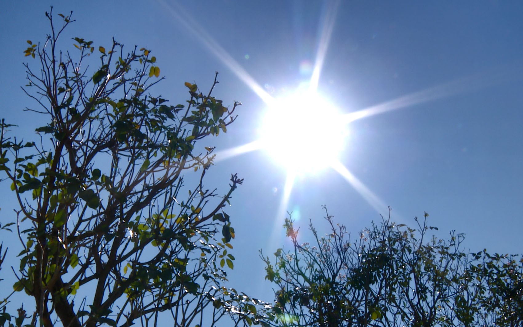 Fenômeno climático El Niño vai aumentar as temperaturas no Piauí, diz diretor da Defesa Civil