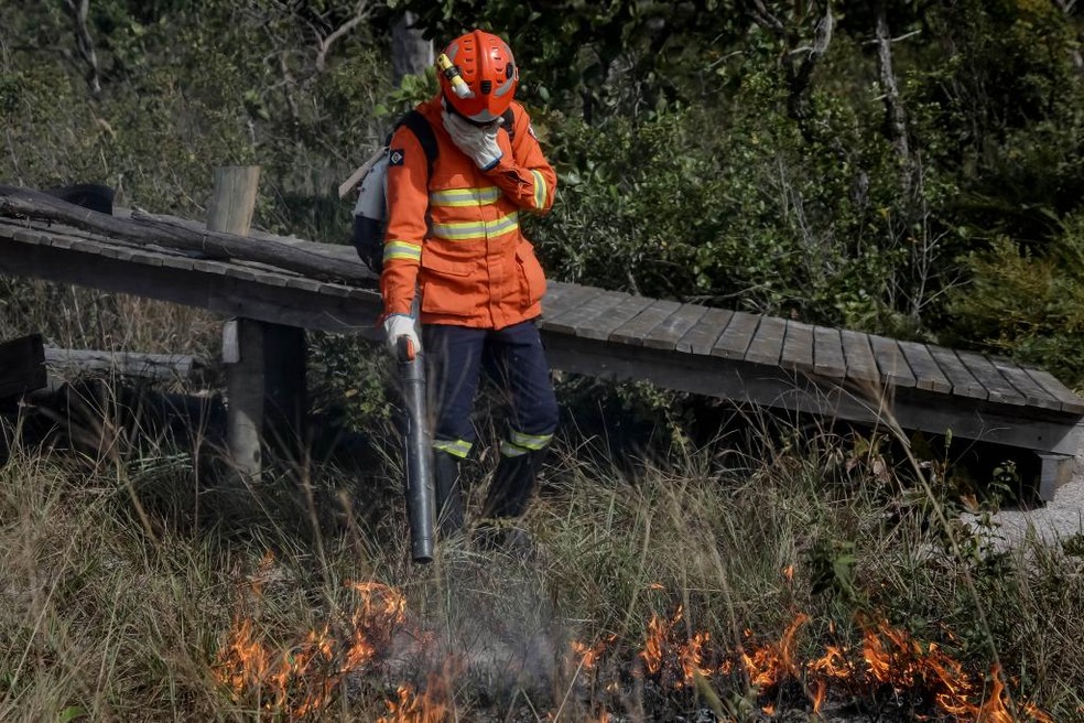 Bombeiro apagando fogo em região de mata — Foto: Secom-MT