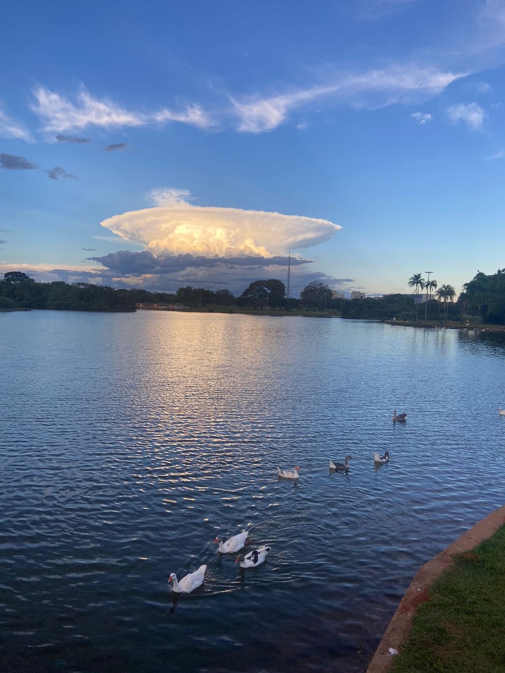 Fenômeno nos Céus de Lagoa Grande repercute na internet