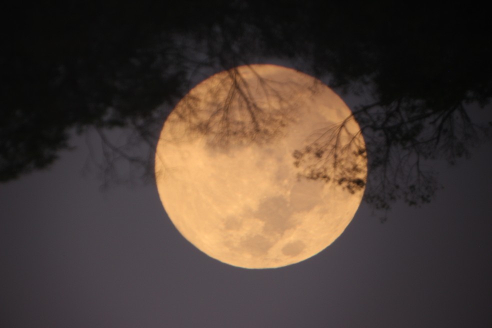 Superlua registrada no Jardim Botânico de Bauru — Foto: Observatório de Astronomia da Unesp/ Divulgação