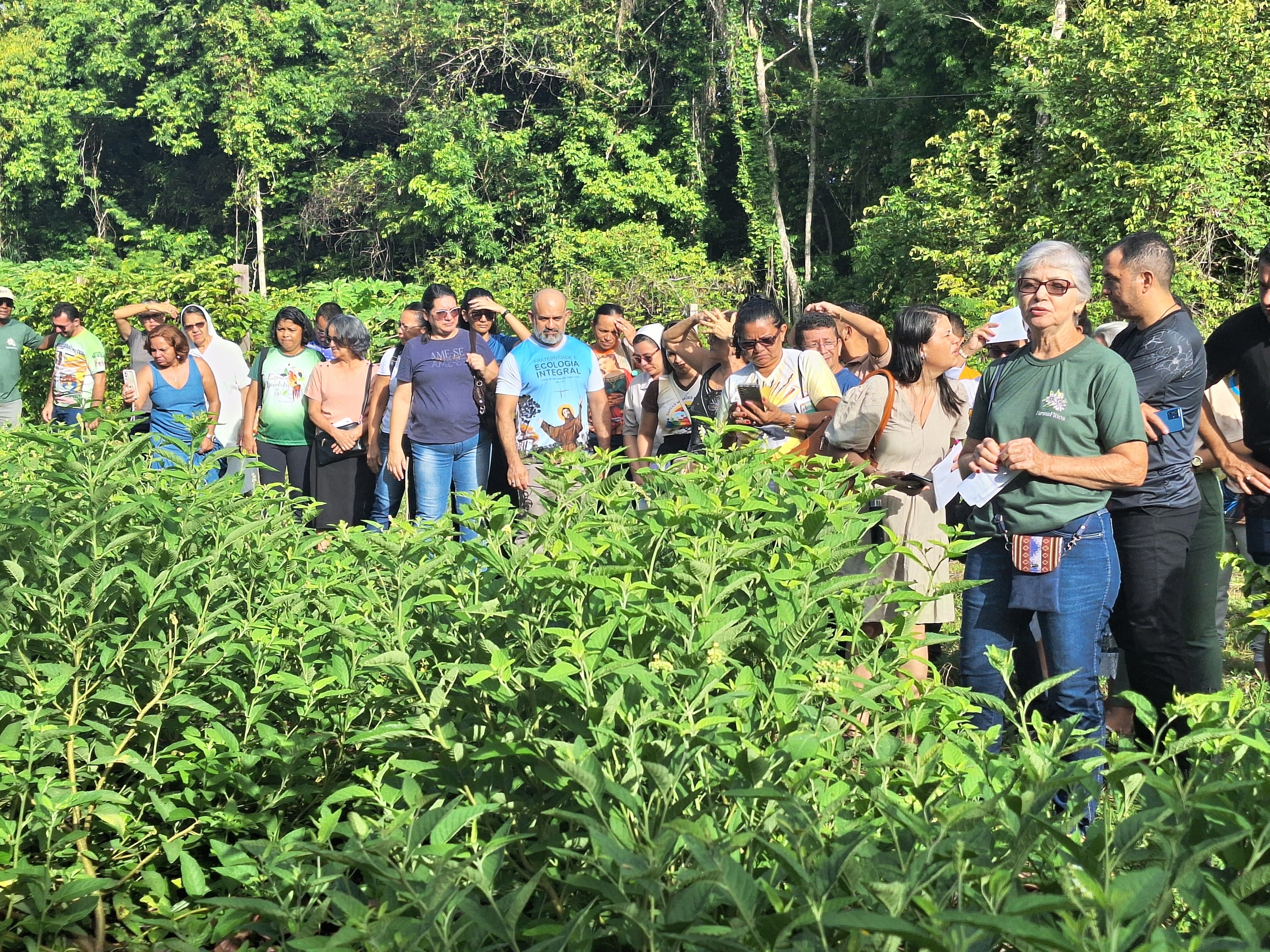 Parceria entre Cáritas e Ufopa tem projeto aprovado pelo CNPq para uso seguro de plantas medicinais no SUS