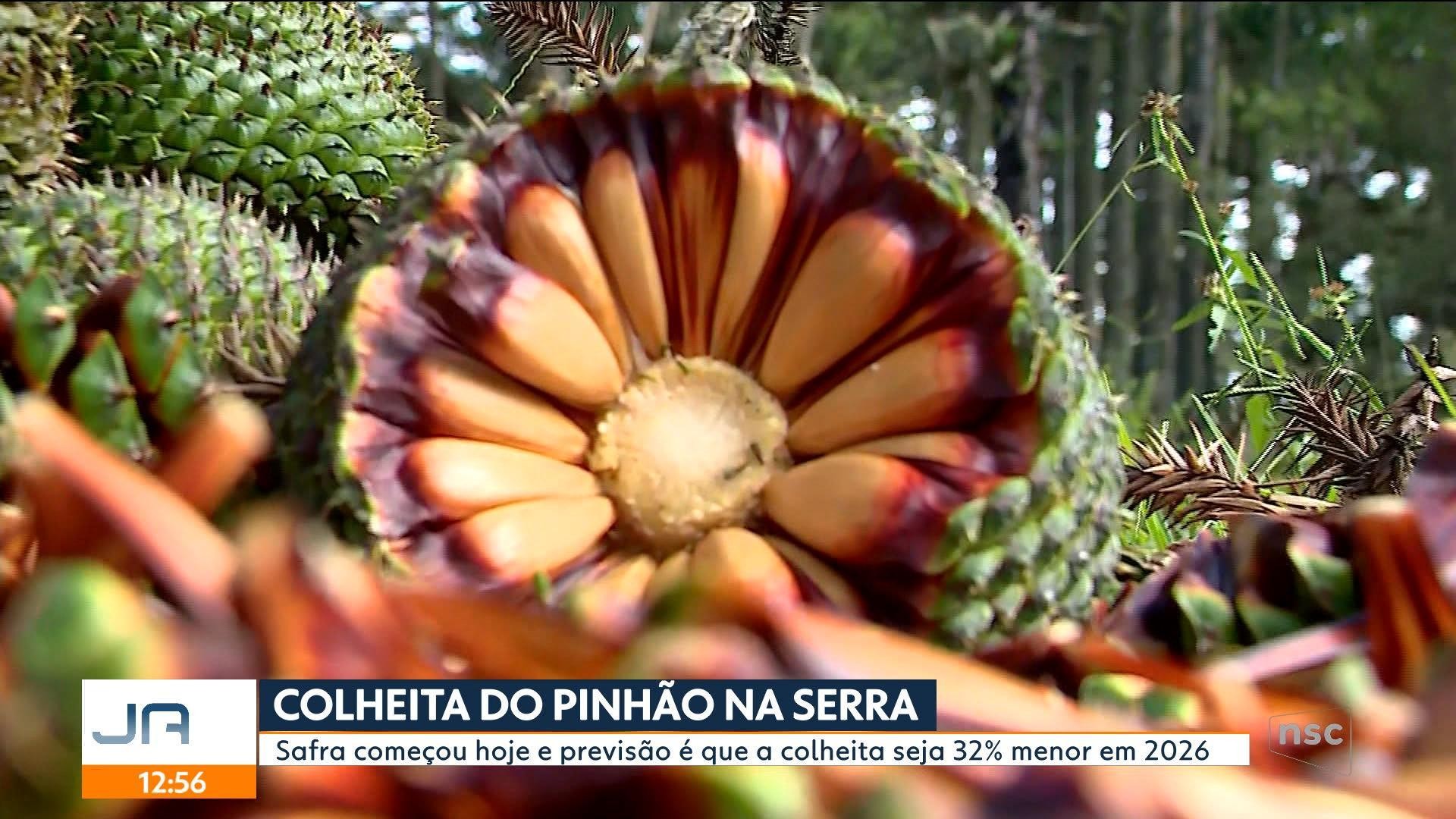 VÍDEOS: Jornal do Almoço Florianópolis de quarta-feira, 1º de abril de 2026