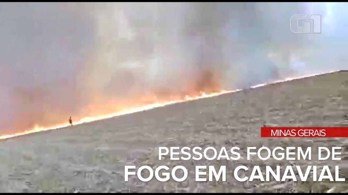 Trabalhadores fogem de incêndio em canavial de Ituiutaba