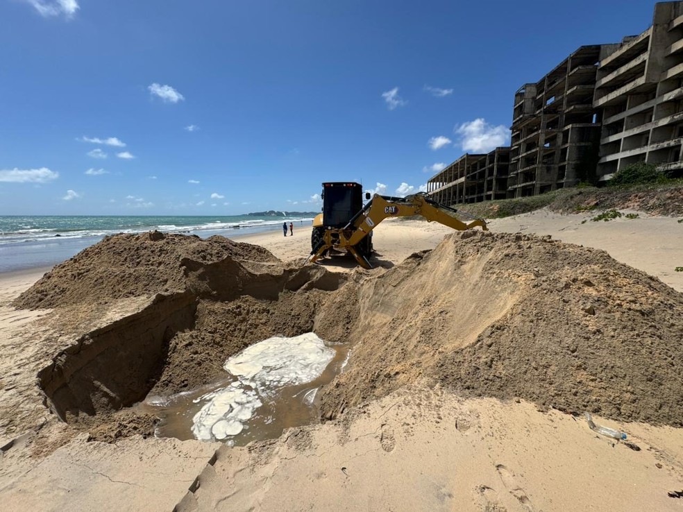 Buraco é aberto para enterro de carcaça de baleia encontrada morta em praia de Natal — Foto: Sérgio Henrique Santos/Inter TV Cabugi (Arquivo)