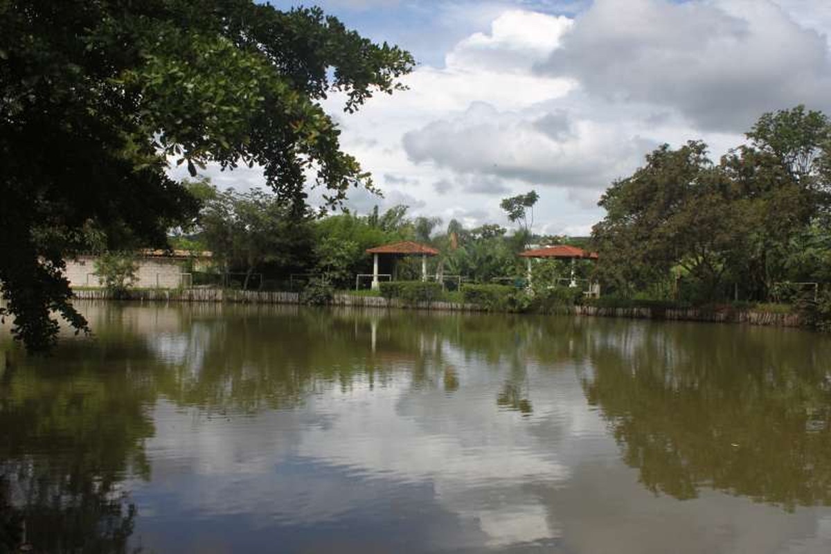 Projeto 'Rio São João' contribui para a revitalização de nascentes em Itaúna CentroOeste G1