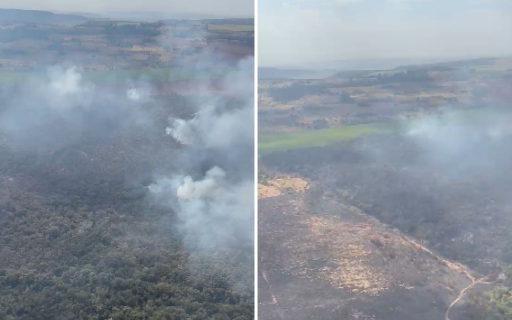 Focos de incêndio atingem estação ecológica em São Simão, SP; VÍDEO