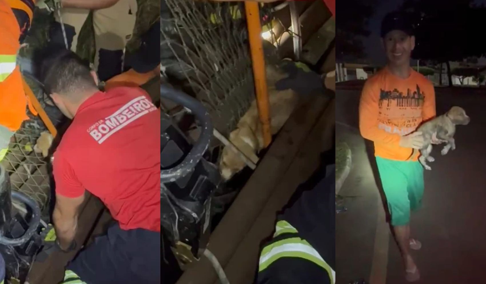 Filhote de cachorro é resgatado após ficar preso em bueiro em Nossa Senhora da Glória