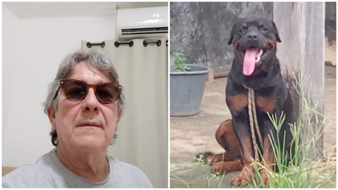 Cachorro ataca e mata o próprio tutor em Juruti, no PA, no momento da alimentação