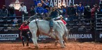 Alisson de Souza montou o touro Relíquia da Patroa no Round Final e conquistou o título da etapa da PBR da Festa do Peão de Americana, neste domingo (7) — Foto: Thomaz Marostegan