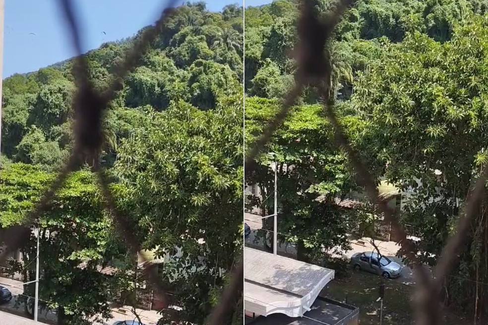 Caso aconteceu no Morro do Itararé, em São Vicente, SP — Foto: Redes Sociais
