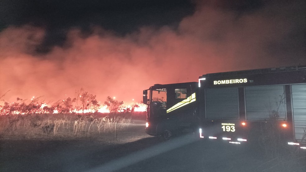 Bombeiros foram acionados para combater o incêndio em Primavera do Leste (MT) — Foto: Corpo de Bombeiros