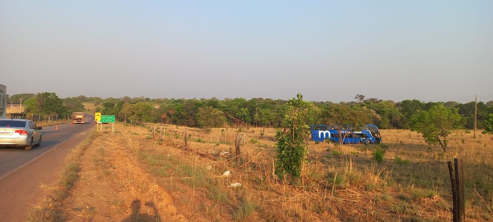 Ônibus saiu da pista e parou em área de pasto — Foto: Divulgação