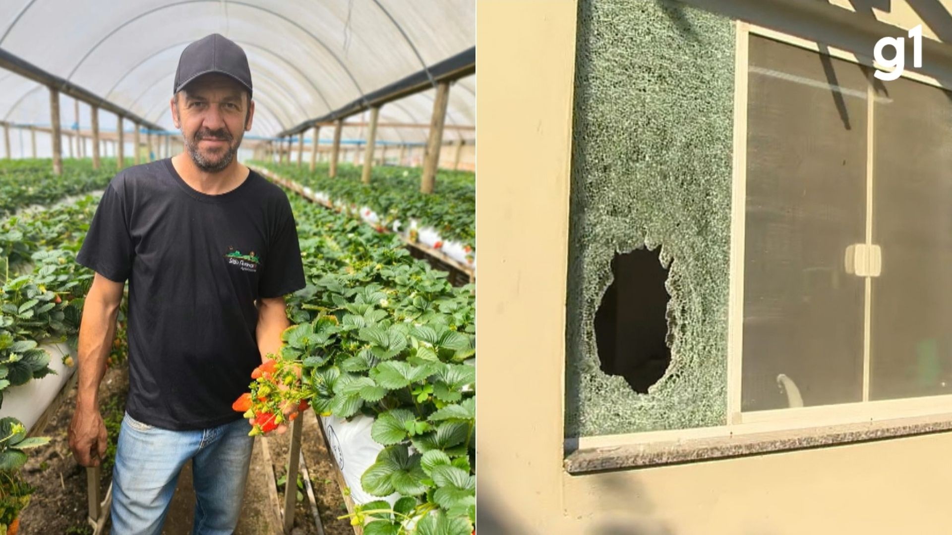 Produtor rural é morto a tiros dentro de casa durante operação em Pelotas, diz Polícia Civil