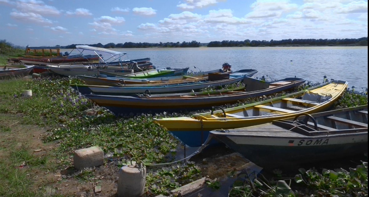 Período de defeso no Rio São Francisco segue até 28 de fevereiro 