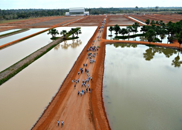 Justiça do AC manda vender complexo industrial da Peixes da Amazônia S.A