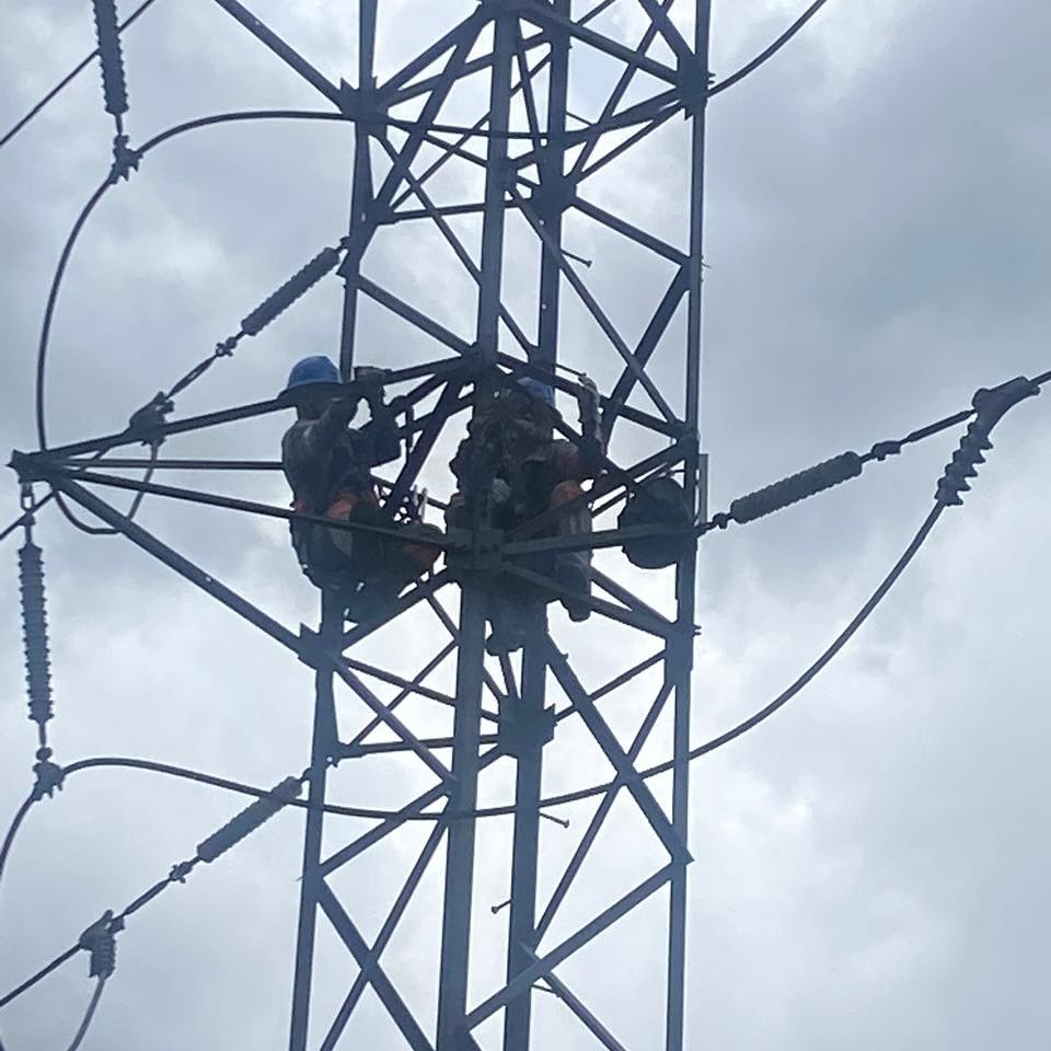 Bairros da Zona Norte de Manaus ficam sem energia após preguiça subir em linha de transmissão