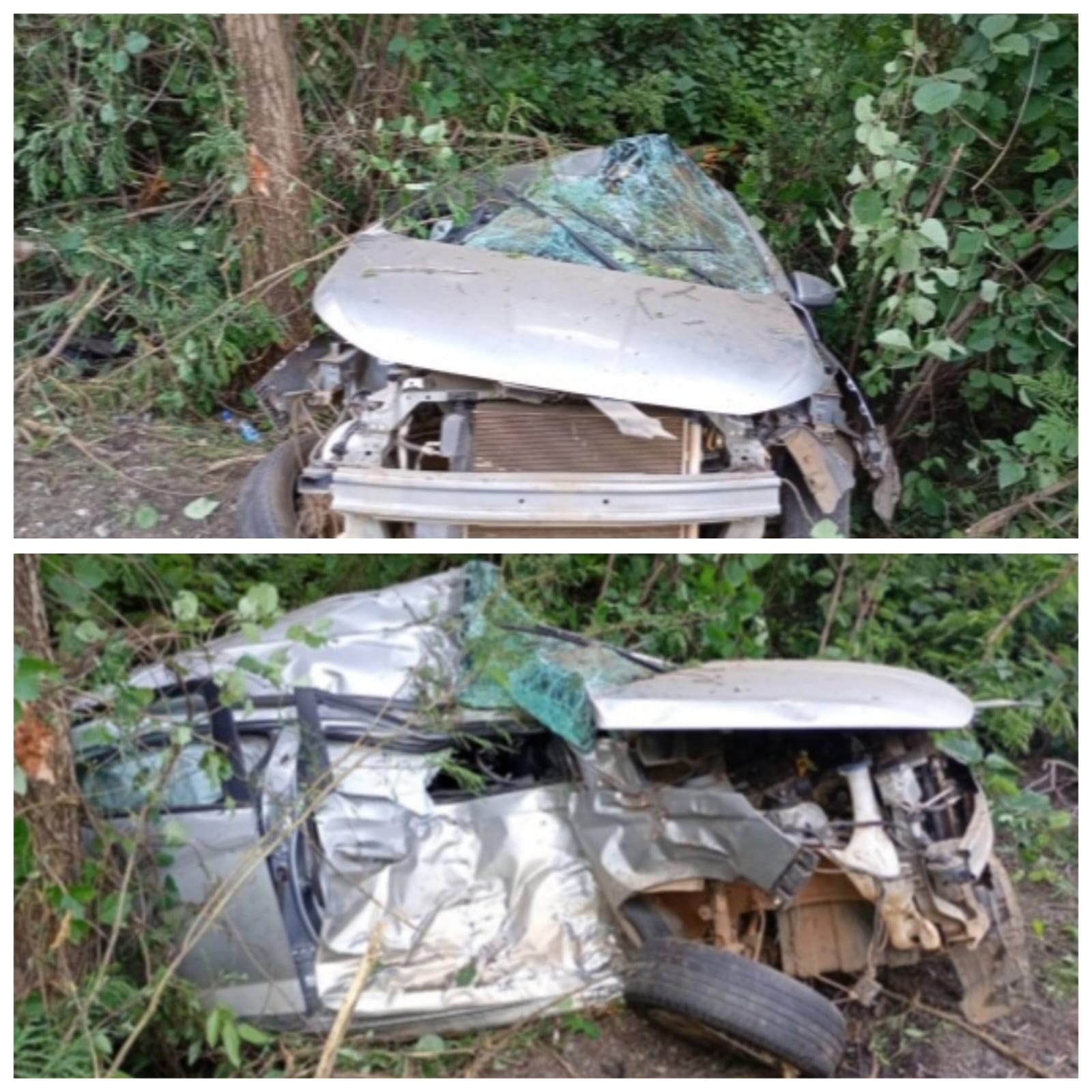 Três pessoas ficam feridas após carro rodar na pista e bater em árvores na MGC-122