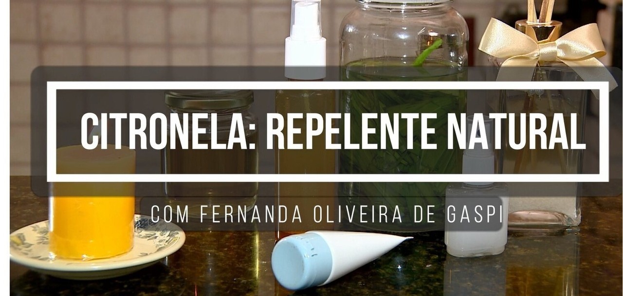 Repelente em gel feito com citronela é dica para se proteger dos ...