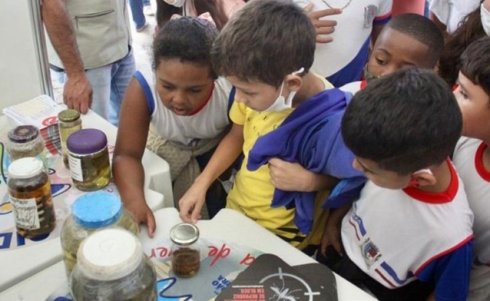 Feira da Ciência vai contar com estandes, atividades e trabalhos escolares em São João da Barra — Foto: Prefeitura de São João da Barra/Divulgação