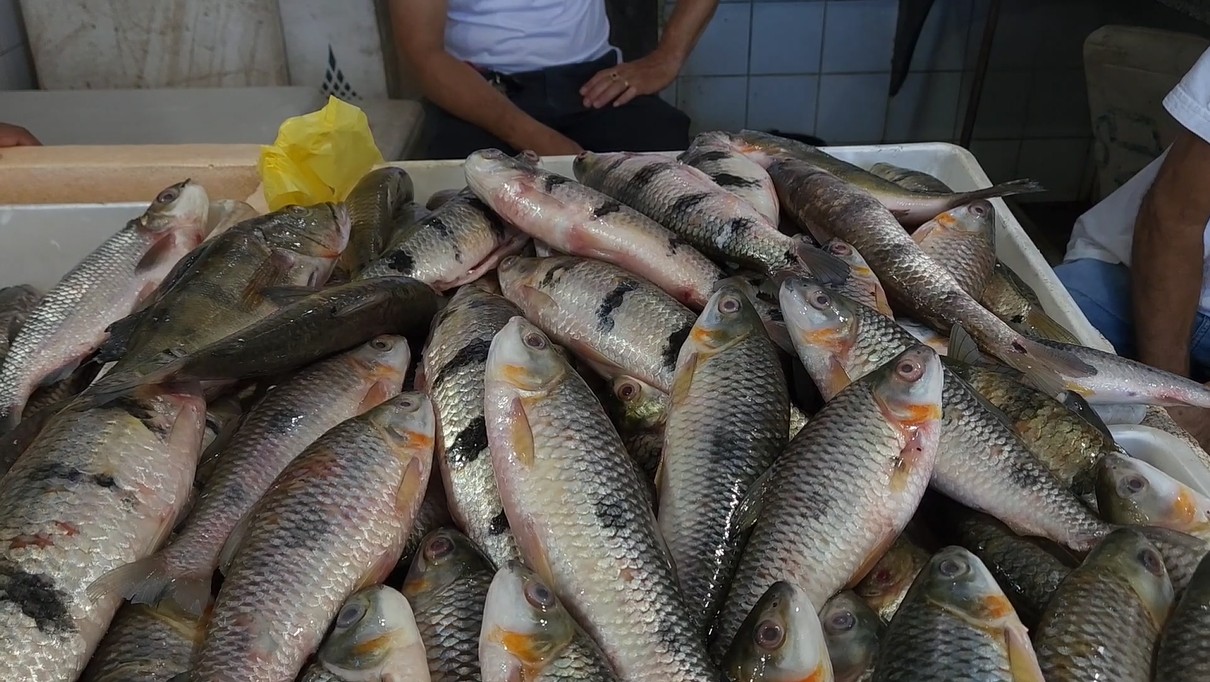 Aplicativo facilita comercialização de peixes no Paraná
