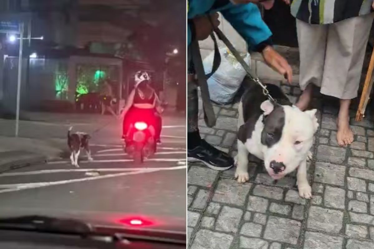 Polícia identifica casal flagrado puxando cão pela coleira enquanto andava de moto; VÍDEO