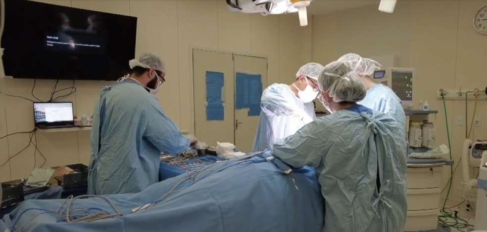 Cirurgia para reconstrução facial de mulher espancada em elevador ocorreu 'com sucesso', diz hospital — Foto: Reprodução/HUOL