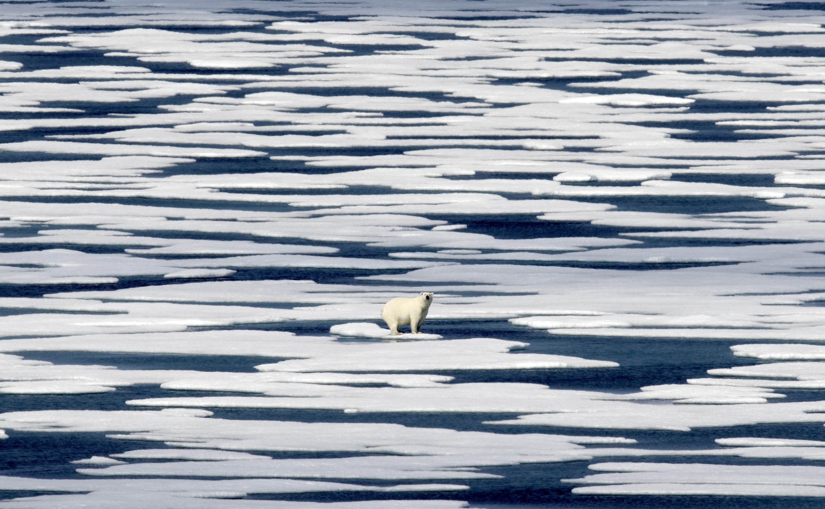 Gelo marinho do Ártico registra sua menor superfície neste inverno boreal