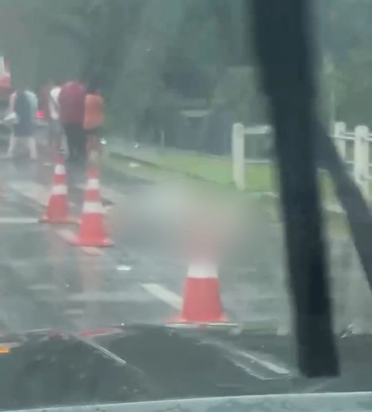 Motorista morre ao bater em poste após atropelar cavalo na Rio-Santos, em Angra dos Reis