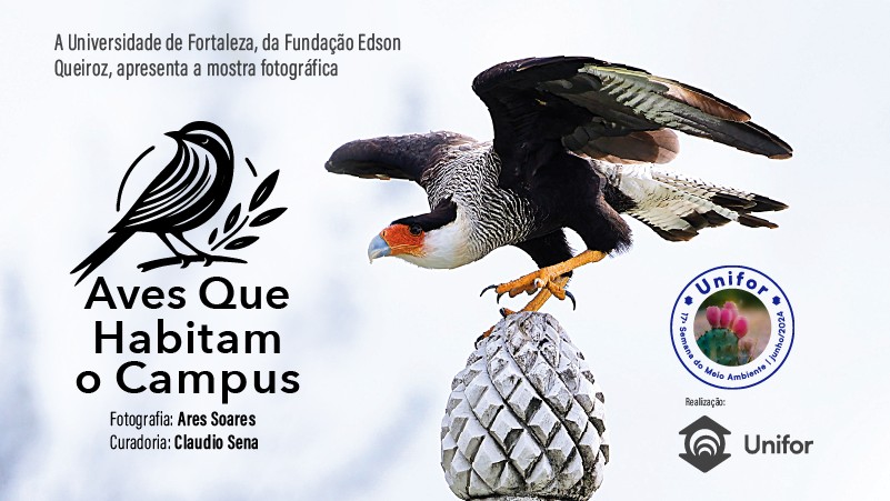 Semana do Meio Ambiente: Unifor inaugura exposição “Aves que Habitam o Campus”