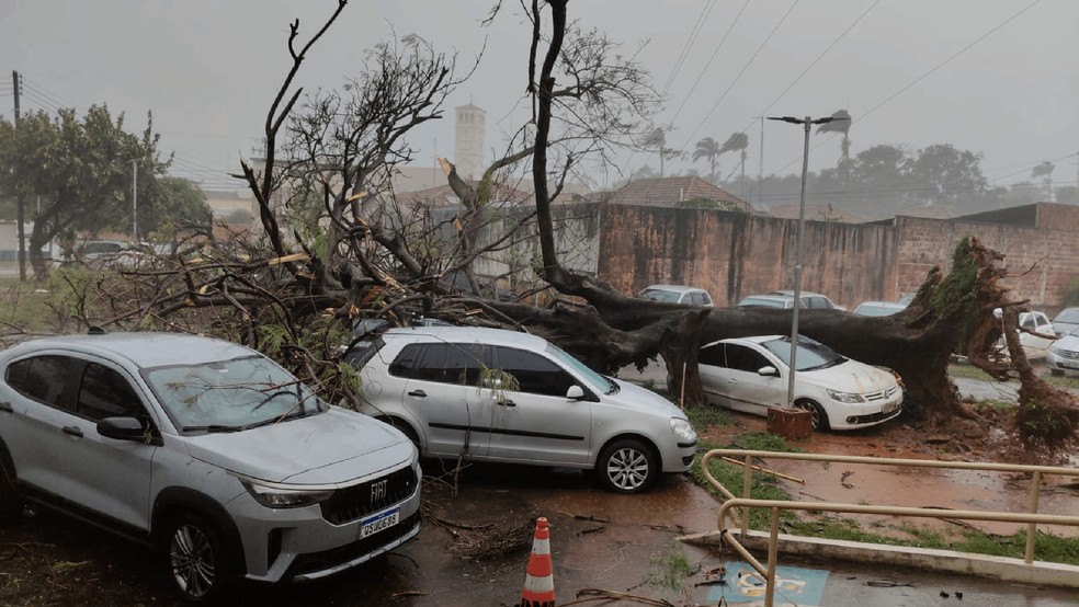 2 de 2
Temporal com ventos fortes derruba &aacute;rvores, causa destelhamentos e deixa estragos em Promiss&atilde;o &mdash; Foto: Defesa Civil/Divulga&ccedil;&atilde;o