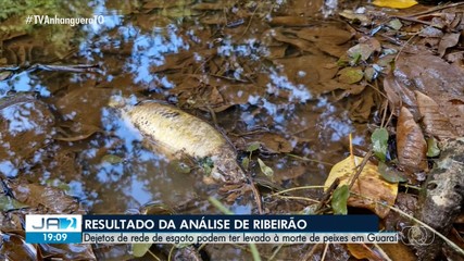 Resultado da análise do Ribeirão Tranqueira já foi divulgado