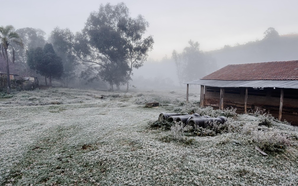 Geada em Maria da Fé (25/06/25) — Foto: William Siqueira
