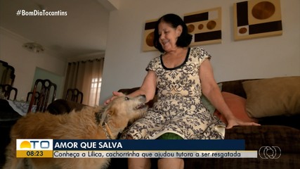 Cadela ajuda no resgate da tutora após queda e fratura no joelho