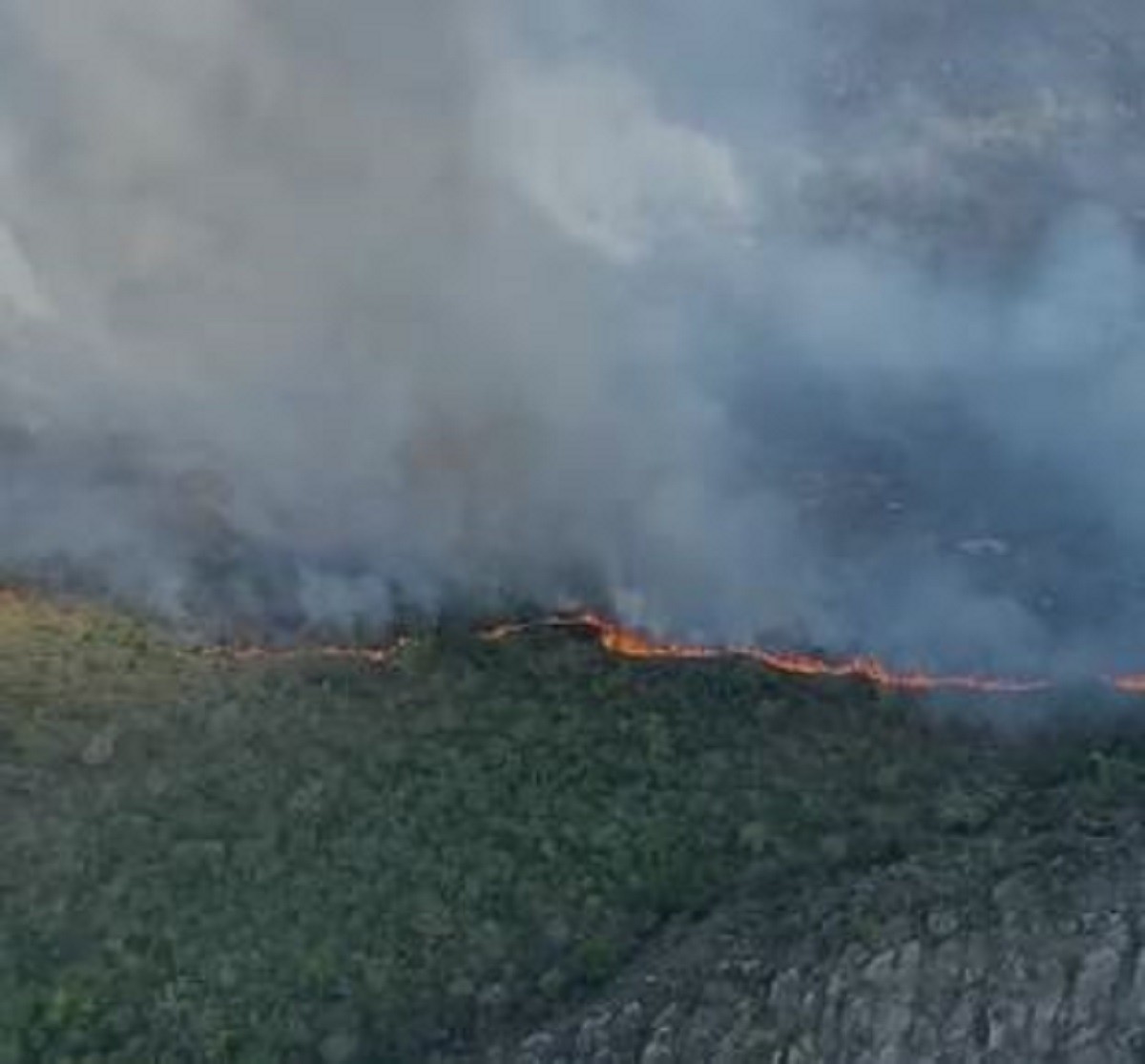 Fogo já consumiu 20% da Serra de São José, área de proteção ambiental em MG; suspeita é de incêndio criminoso