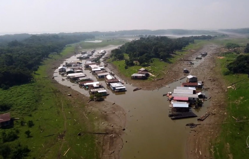 Clima extremo: seca severa causou morte de botos e transformou rio em lama no Amazonas — Foto: Reprodução/TV Globo