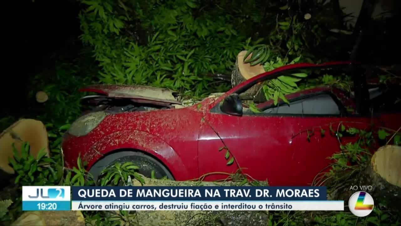 Mangueira cai e atinge três veículos na travessa Dr. Moraes, centro de Belém