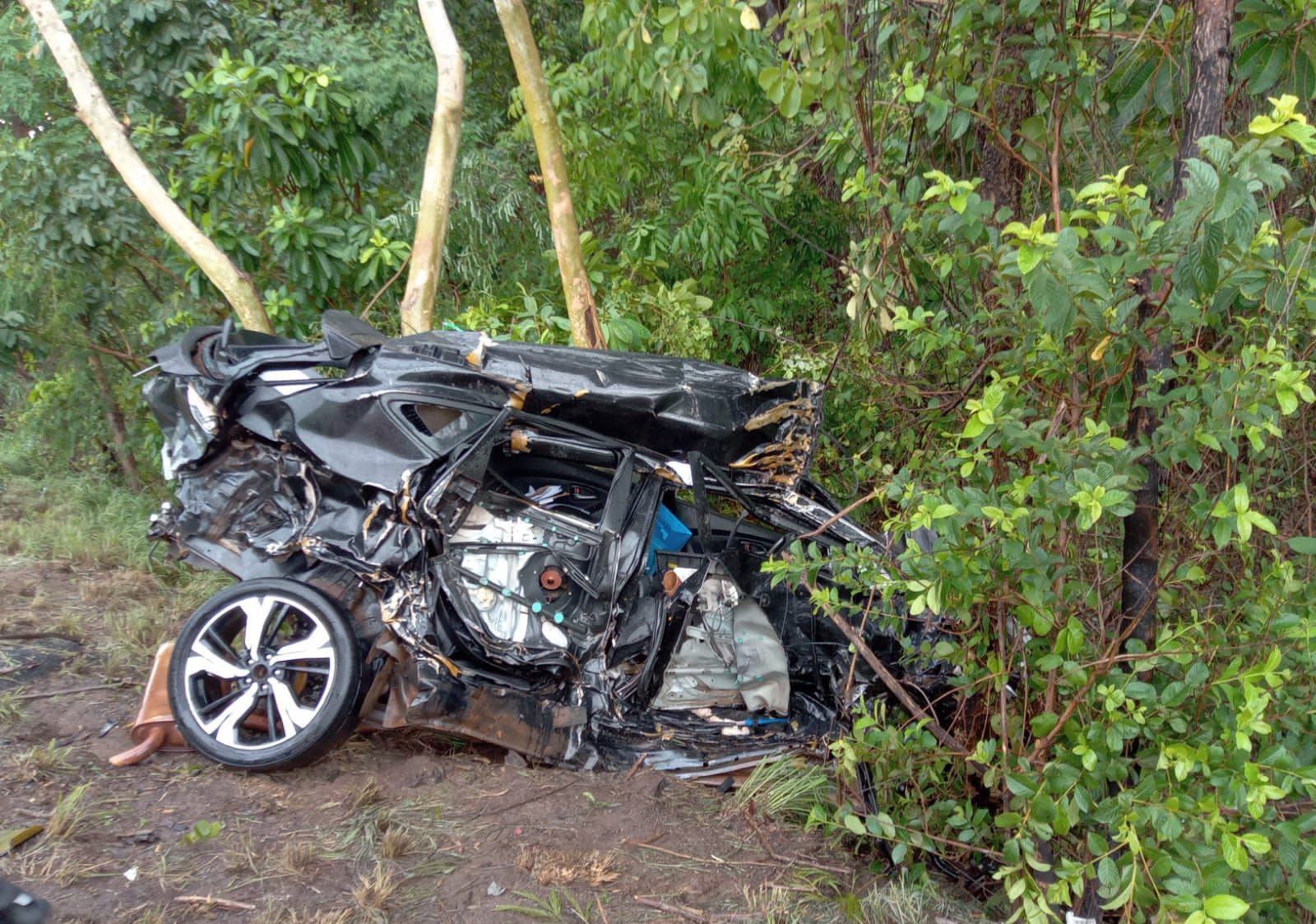 Menino coleciona mais de 100 ursos de pelúcia capturados em máquinas de Boa  Vista e dá dicas: 'cruzar os dedinhos', Roraima