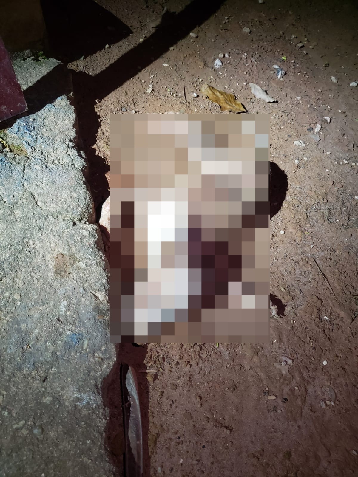 Homem é preso suspeito de maus-tratos após pit bull ser encontrado morto em MG